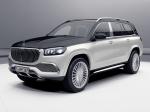 Mercedes-Maybach GLS600 4Matic 2020 года (WW)